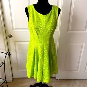 Sandra Darren sleeveless dress